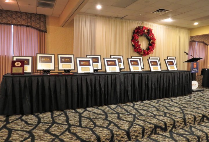 Section Award Finalists: Youth Player Development 1