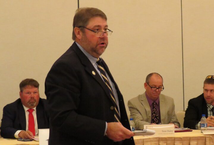 Section members take part in vitural meeting 1
