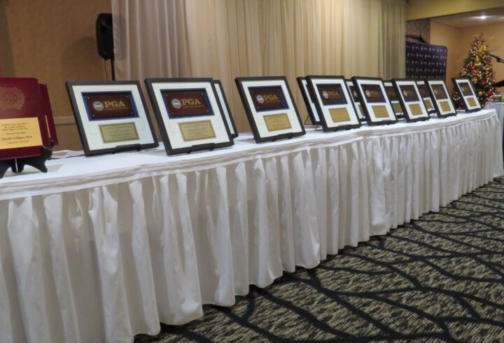 Section Award Finalists: Professional Development 1