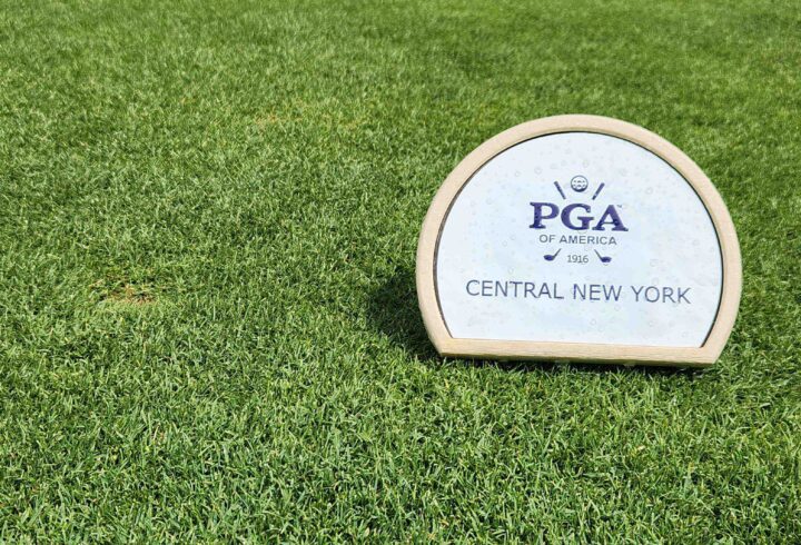 Section Award Finalists: Player Development 1