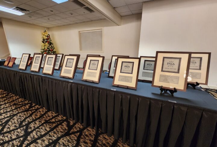 Section Award Finalists: Sales/Merchandisers 1